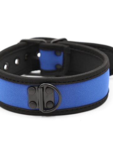 Neoprene Puppy Collar Adjustable Blue